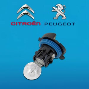 GÜNDÜZ FAR AMPÜLÜ KOMPLE DUYLU 12V-HP24W  3008-5008-C5 resmi